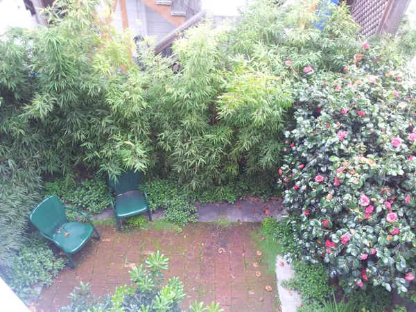 Quiet Alley With A Charming Furnished Comfortable Home