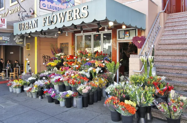 short term lease san francisco